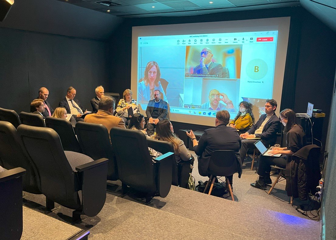 MFC WPFD workshop 2024 3